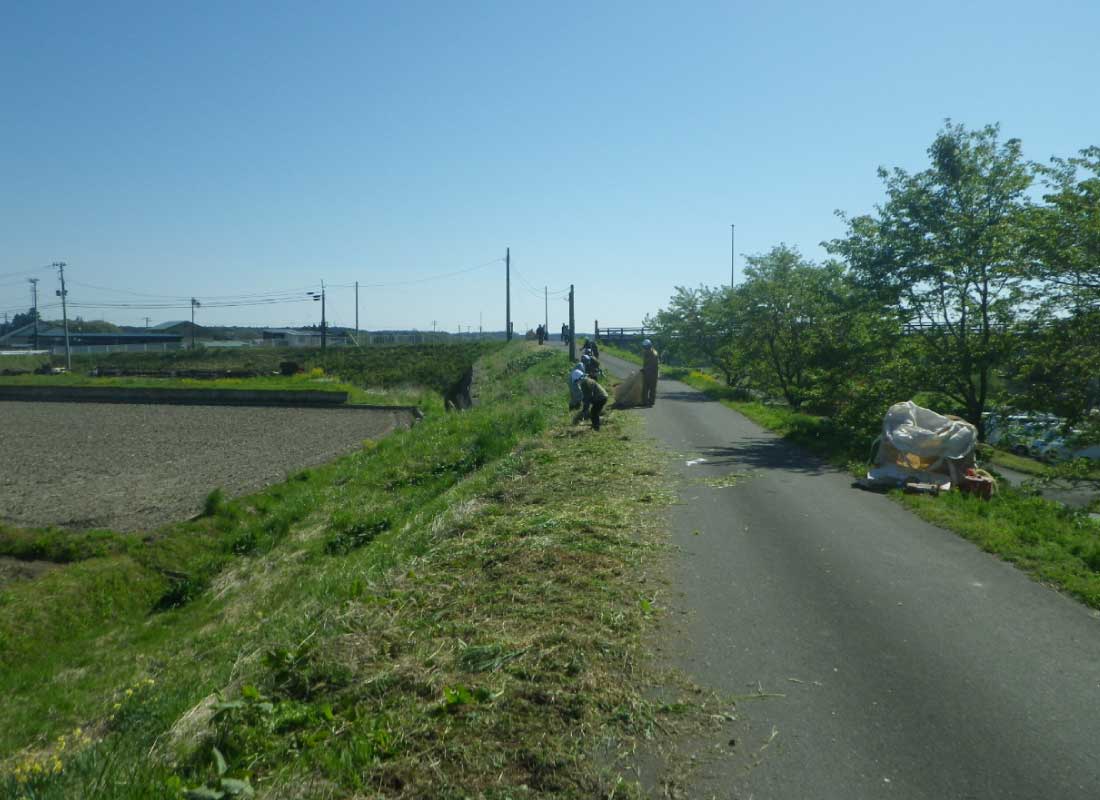 水辺サポーター活動:奥入瀬河川敷草刈り